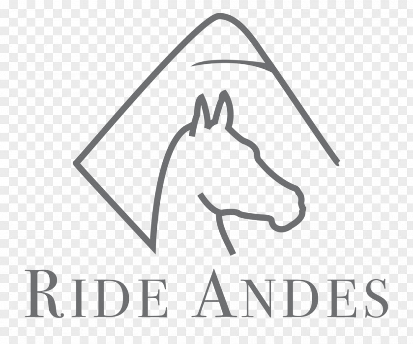 Horse Equestrian Logo Los Andes Cotopaxi PNG