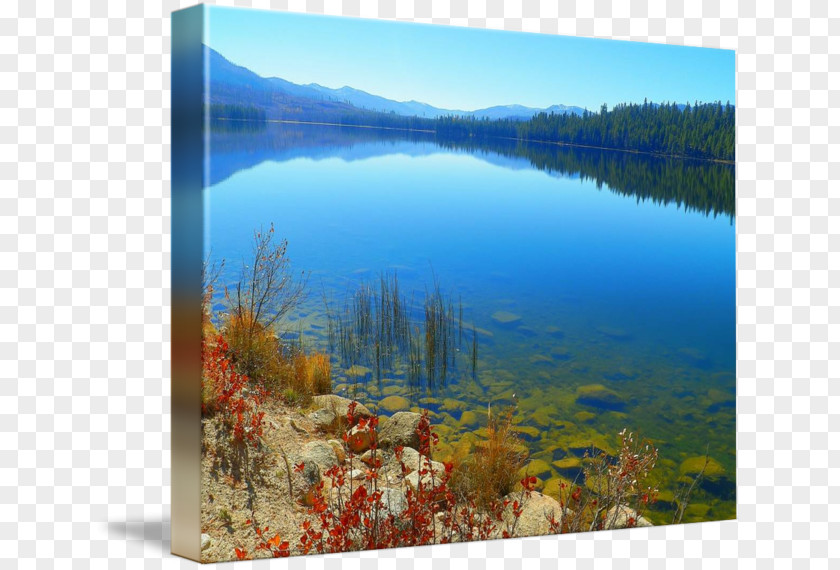 Painting Water Resources Ecosystem Lake PNG