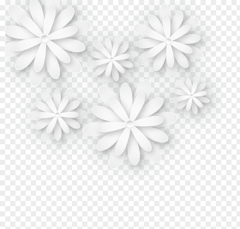 Three-dimensional White Flowers Black And Petal Common Daisy PNG