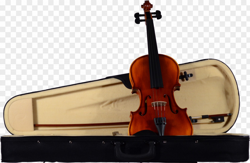 Violin Cello Viola Woody's Music PNG Music, violin clipart PNG
