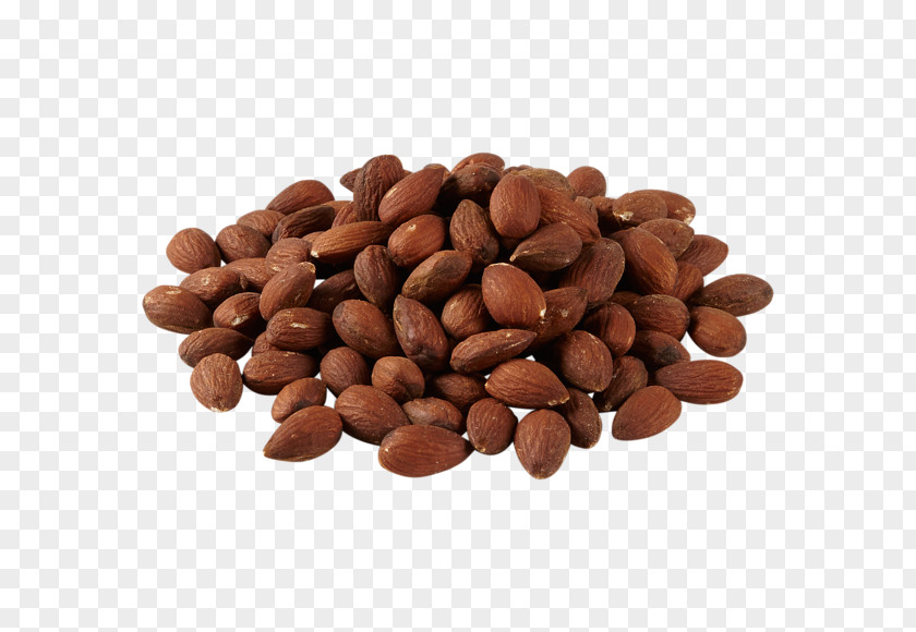 Almond Seed Fruit Tree PNG