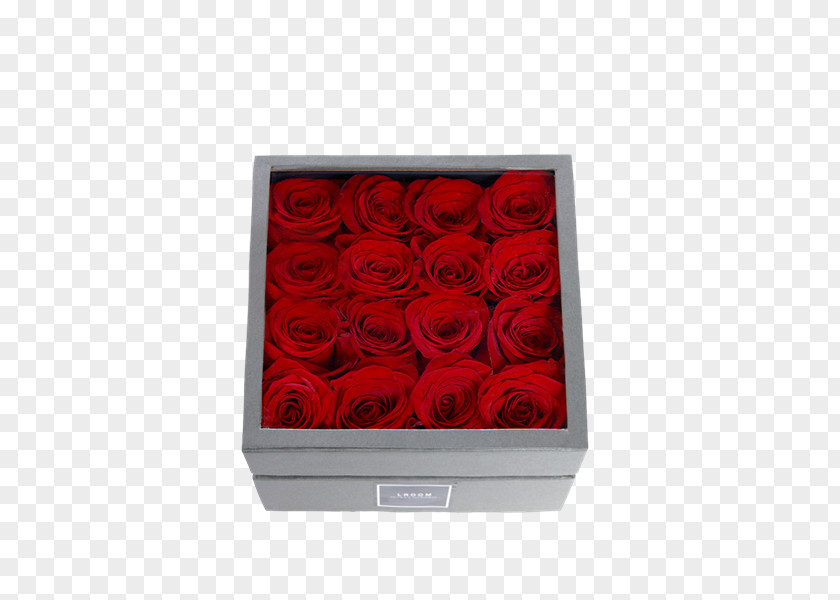 Flower Box Garden Roses Love Heart PNG