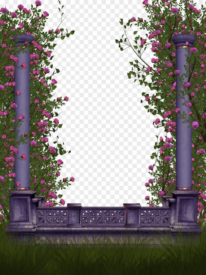 Lace Border Rose Flower PNG