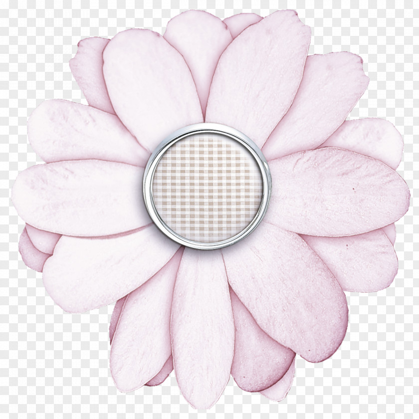 Petal White Pink Flower Plant PNG