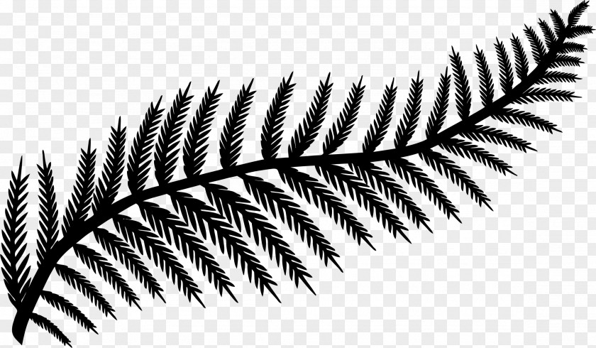 Plant Silhouette Fern Frond Leaf Clip Art PNG