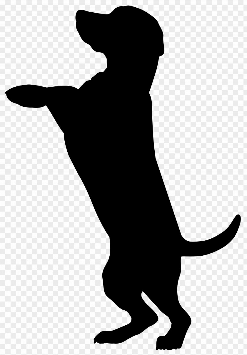 Dog Silhouette Clip Art Image Boxer Dobermann Cat Pet Sitting PNG