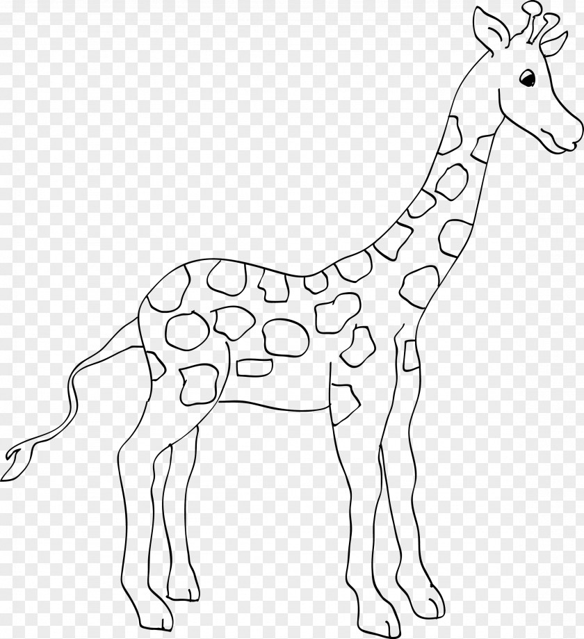 Giraffe Animal Coloring Book Ausmalbild Zoo PNG