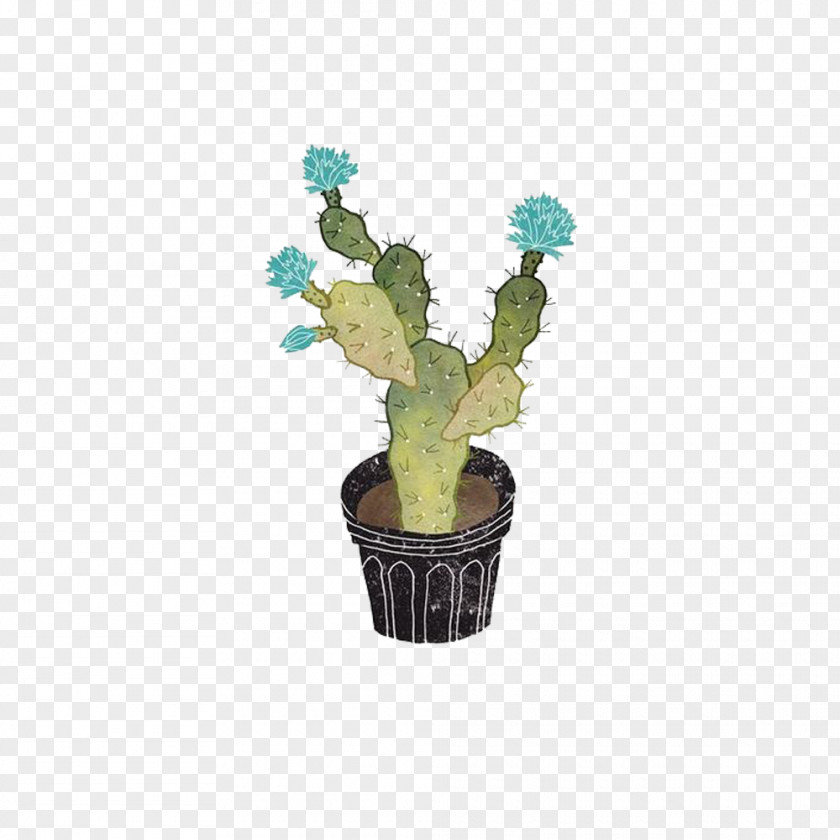Hand-painted Flowering Cactus Cactaceae Plant Illustration PNG