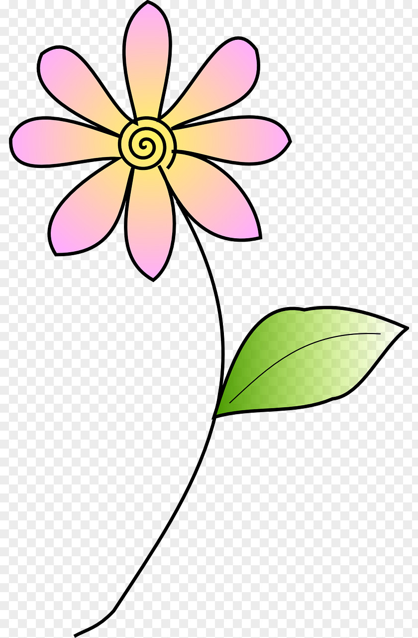 Leaf Floral Design Cut Flowers Plant Stem Petal PNG