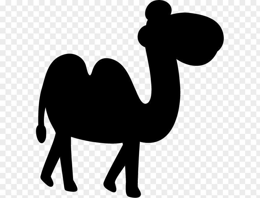M Clip Art Silhouette Snout Camel Black & White PNG