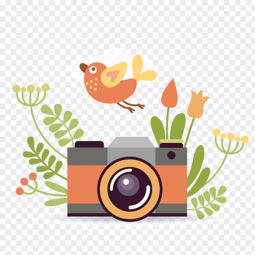 Vector Spring Camera Photographic Film Cartoon Poster PNG
