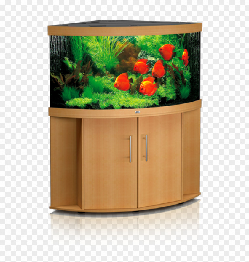 Aquarium Decoration Filters Tropical Fish Pet PNG