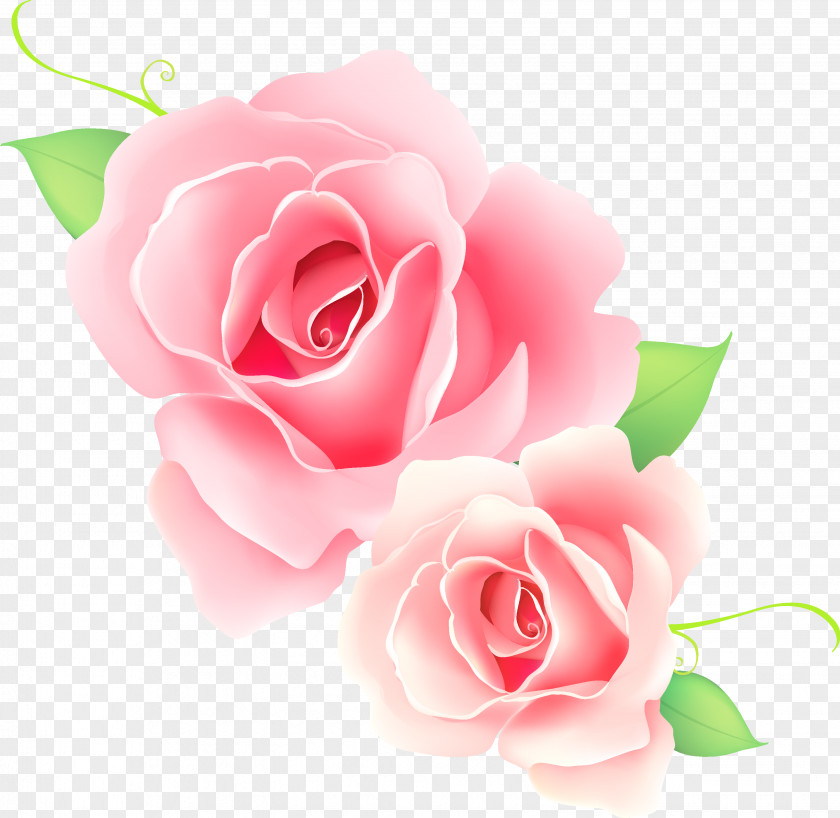Banquet Rose Pink Flower Clip Art PNG