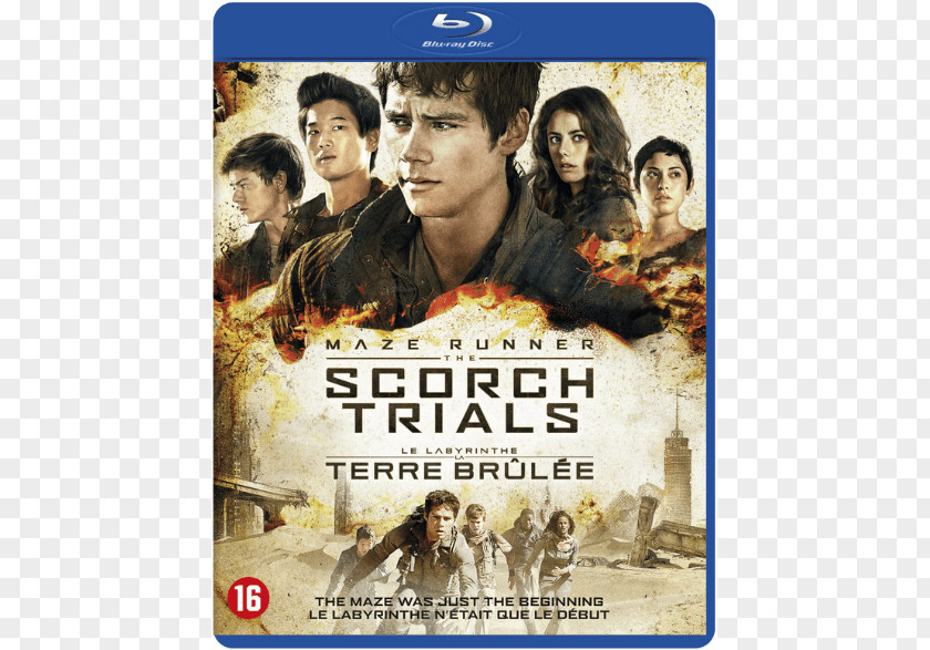 Dvd Dylan O'Brien Maze Runner: The Scorch Trials Blu-ray Disc Amazon.com PNG