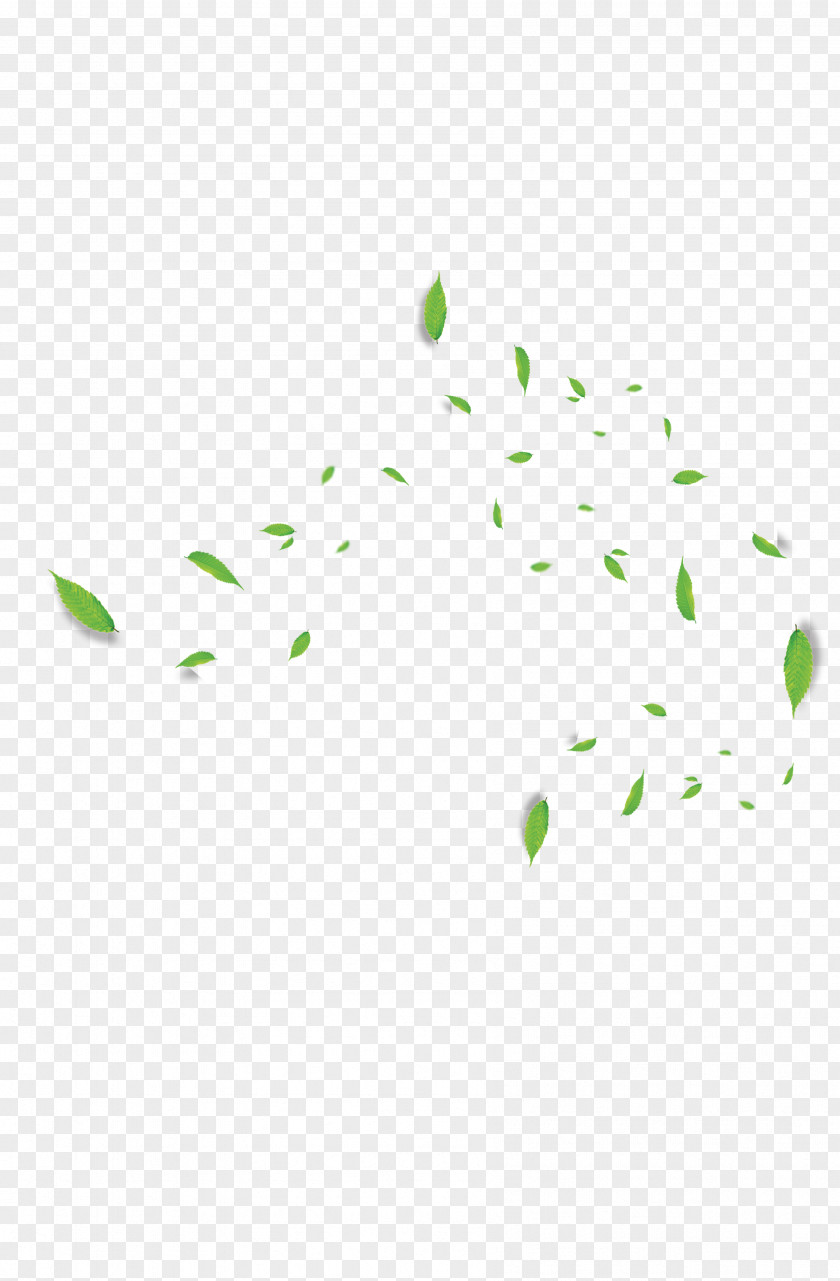 Leaves Green Pattern PNG