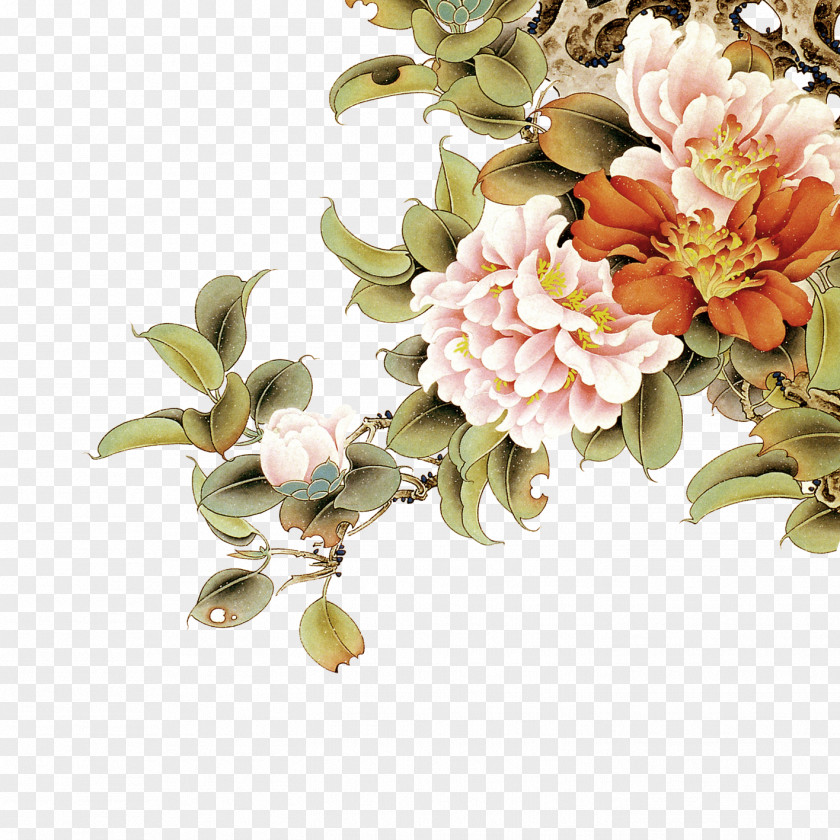 Peony Moutan Floral Design Wall PNG