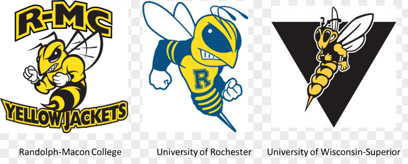 Randolph–Macon College Randolph-Macon Yellow Jackets Women's Basketball Football Old Dominion Athletic Conference PNG