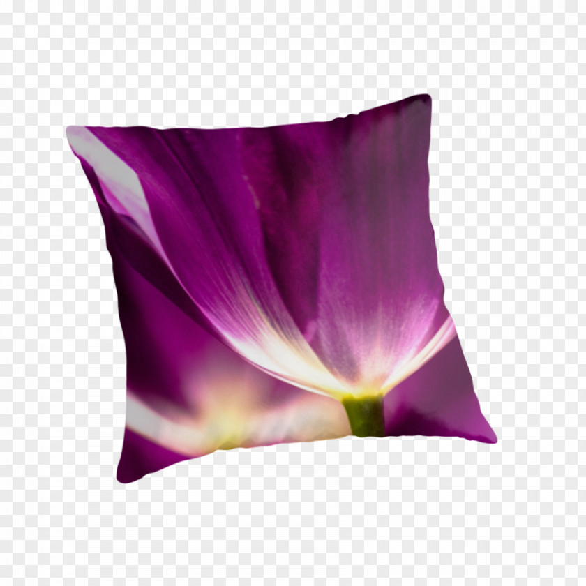 Tulip Throw Pillows Cushion Petal PNG