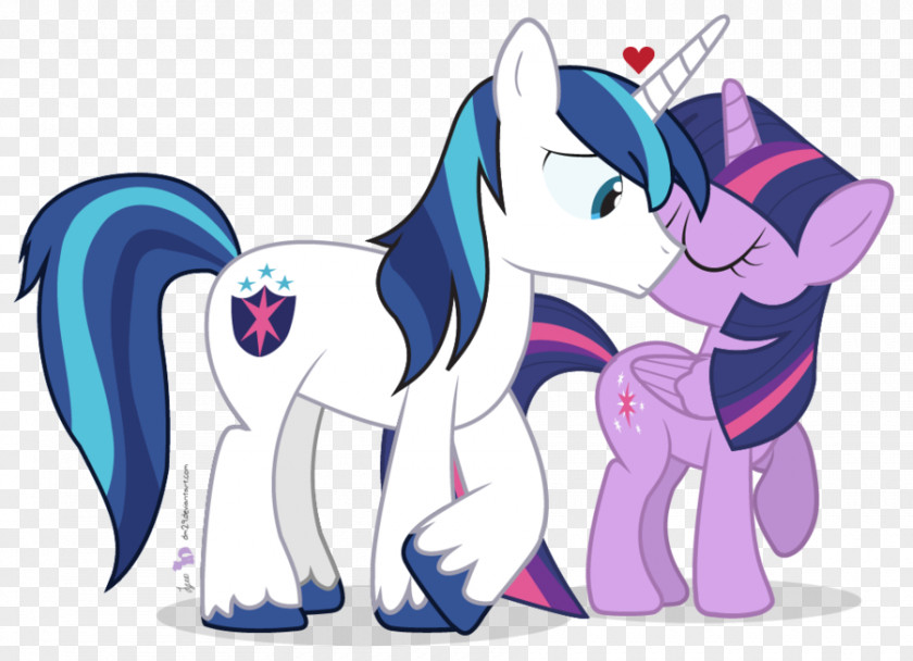 Twilight Sparkle Princess Cadance Rainbow Dash Flash Sentry Pinkie Pie PNG