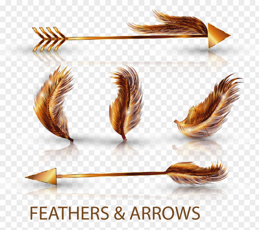 Arrow Feather Euclidean Vector PNG