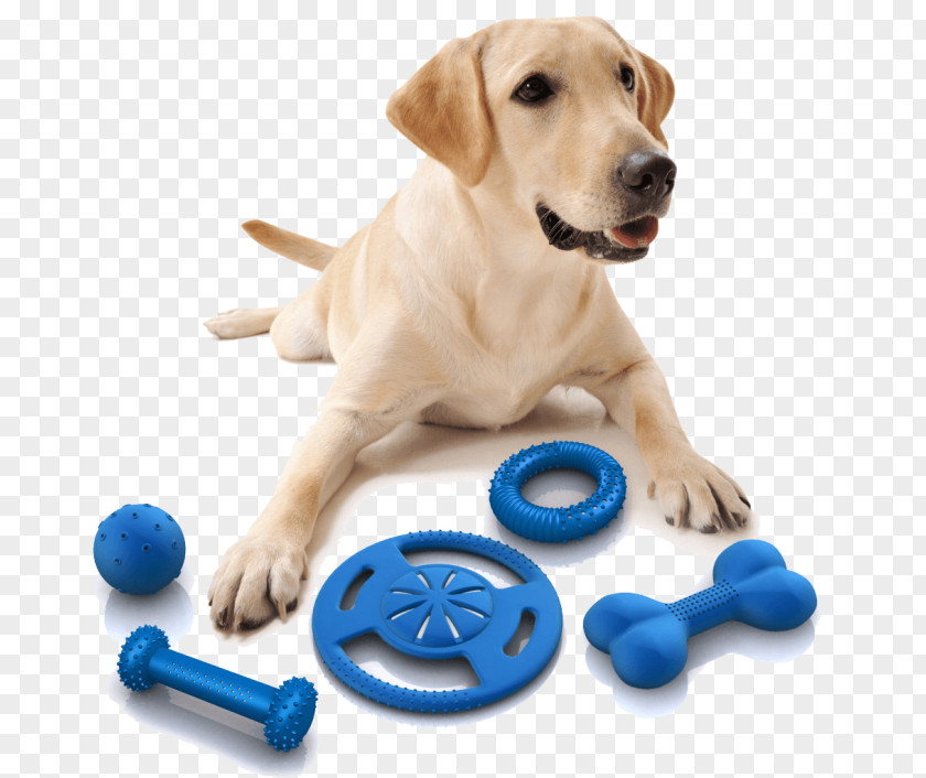 Dog Toys Pet Puppy PNG