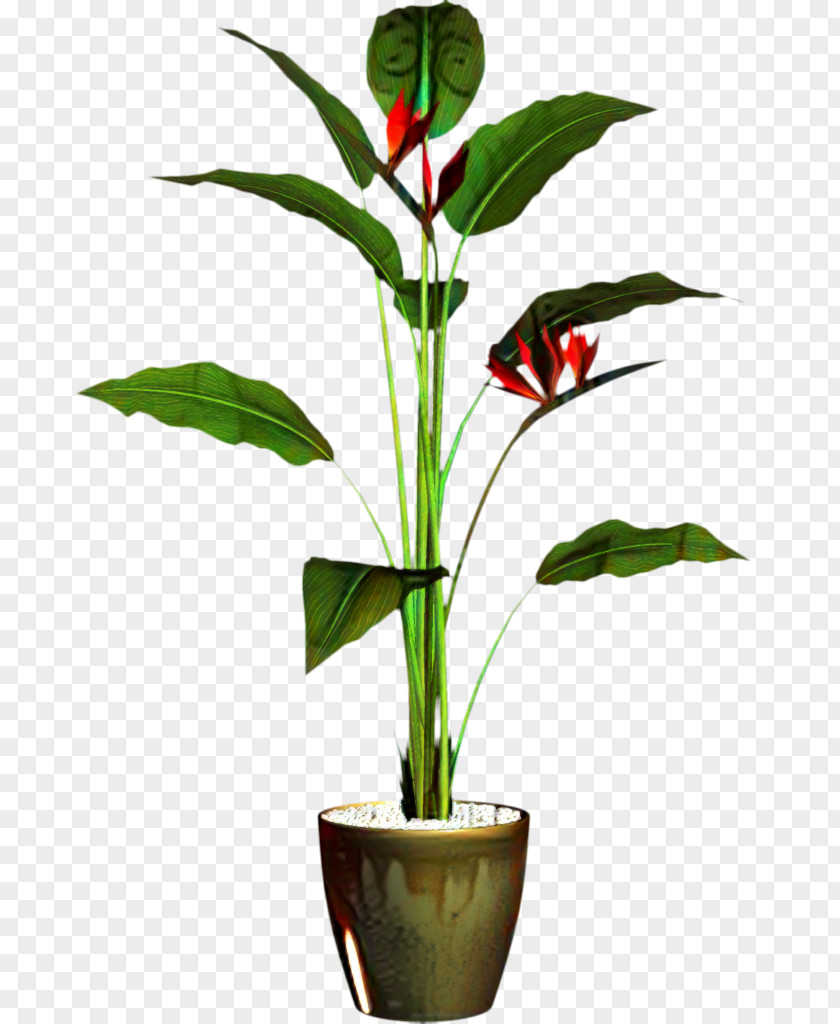 Flower Clip Art Plant Stem Leaf PNG