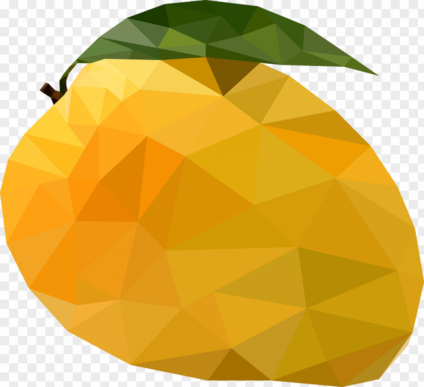 Mango Vector Carefree Attention Food Information PNG
