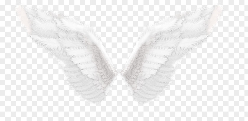 Angel Wings White Finger Shoe Pattern PNG