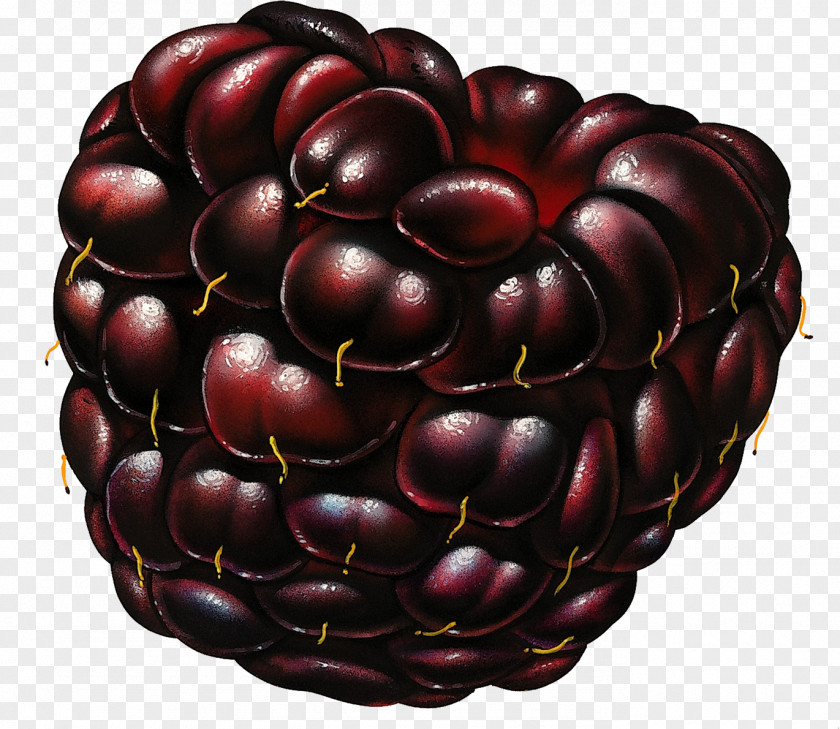 Blackberry Fruit Frutti Di Bosco PNG