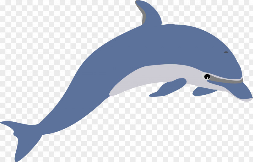 Dolphin Cliparts Amazon River Free Clip Art PNG