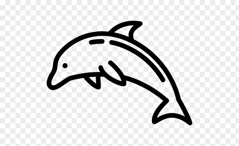 Dolphin Symbol PNG