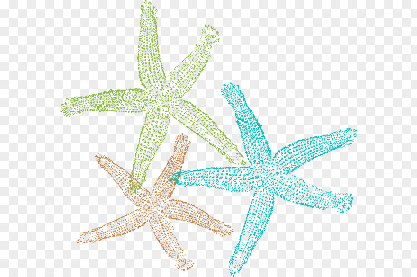 Free Download Of Starfish Icon Clipart Sand Dollar Logo Clip Art PNG