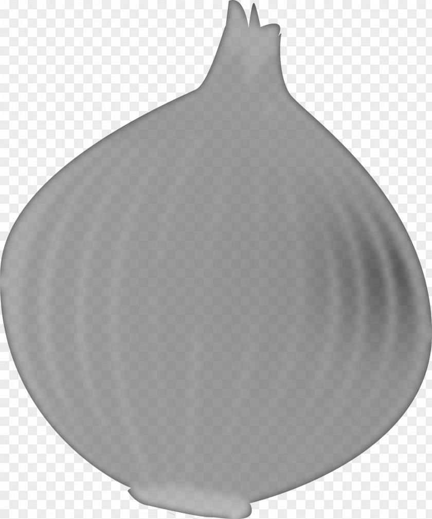 Artifact Amaryllis Family Onion Cartoon PNG