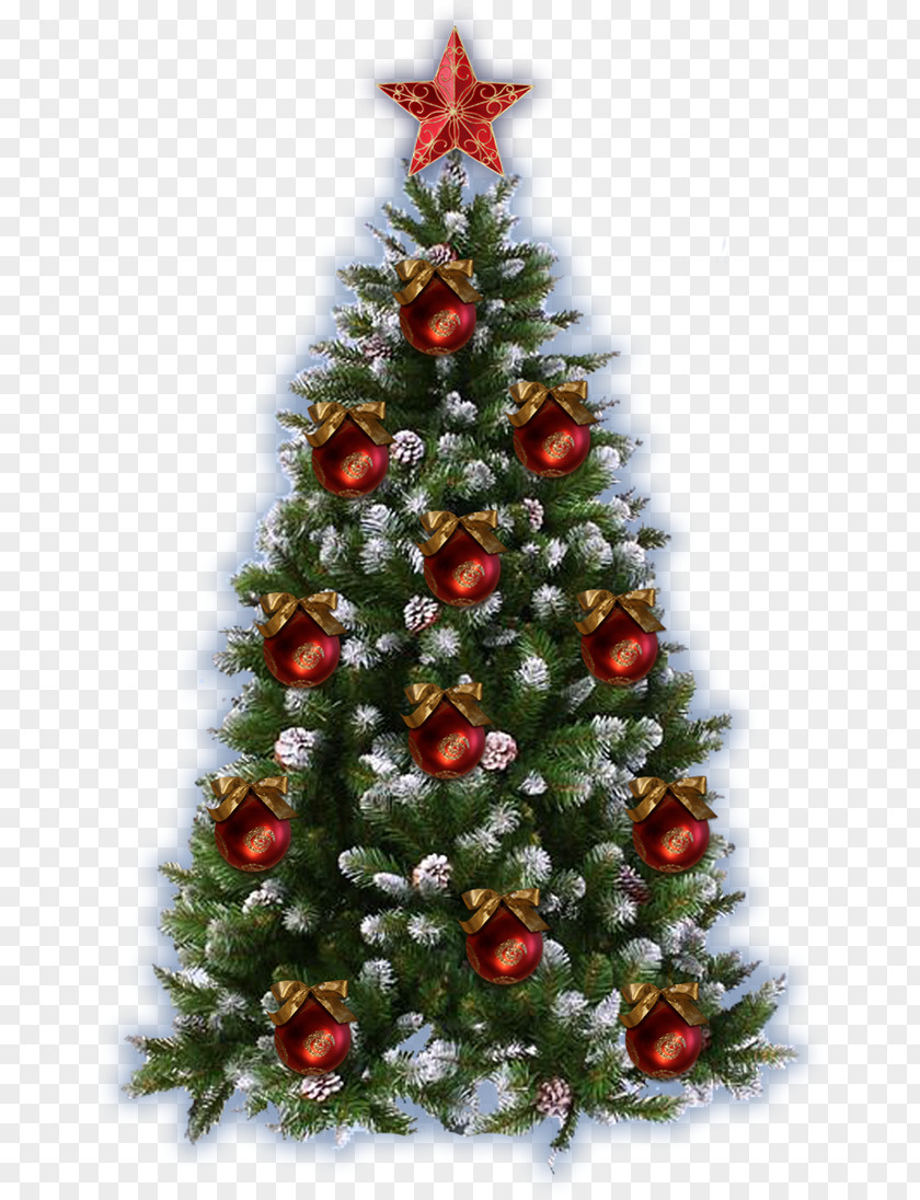 Christmas Tree Picture Frames Decoration PNG