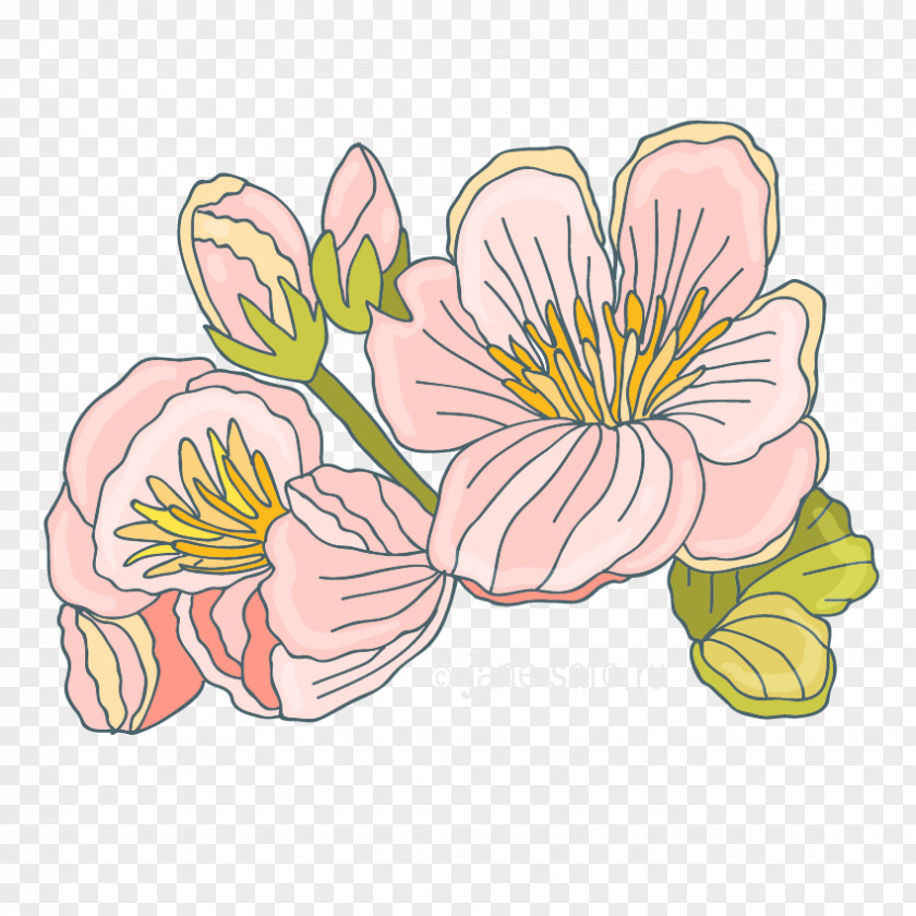 Flower Image Floral Design Clip Art PNG