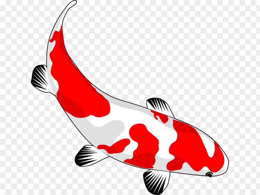 Fish Koi Goldfish Drawing Clip Art PNG