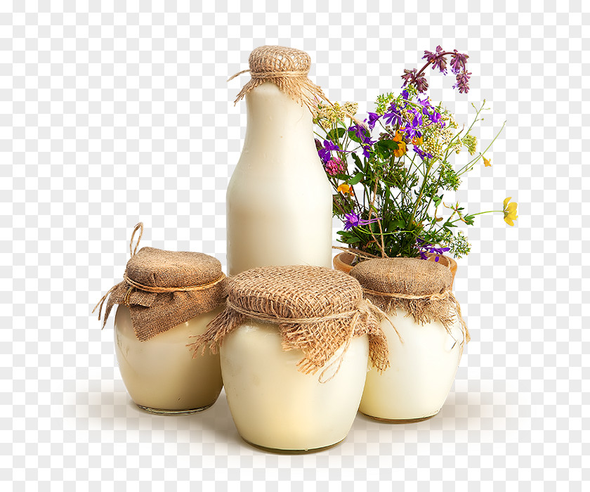 Milk Kefir Ryazhenka Cream Dairy Products PNG