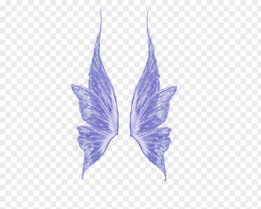 Flower Fairy Wings Elf Computer File PNG