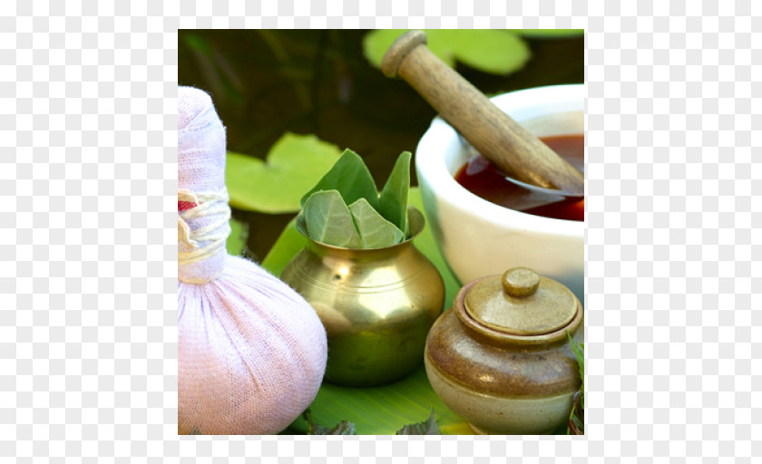 Health Ayurveda Medicine Panchakarma Therapy PNG