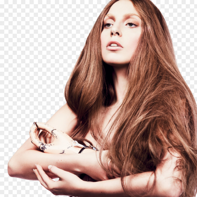 Lady Gaga Artpop Photography Album PNG Album, artpop clipart PNG