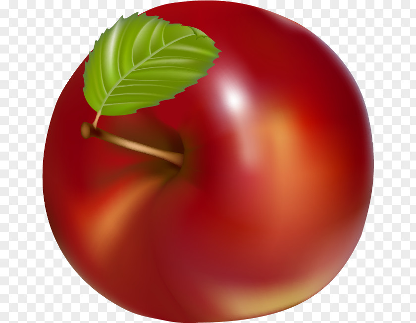 Peach Natural Foods Tomato Plum PNG