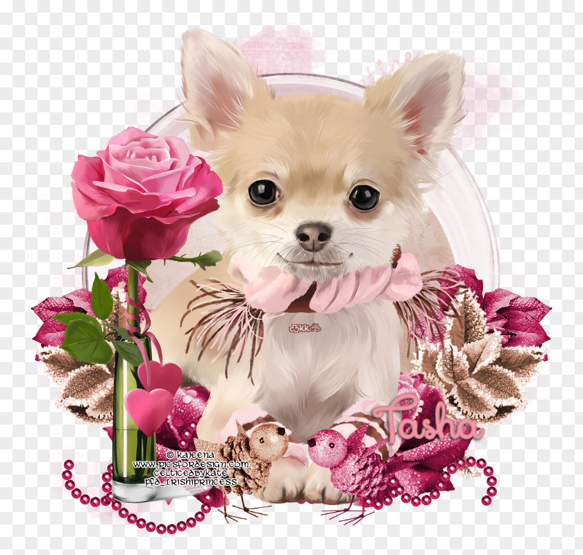 Puppy Chihuahua Dog Breed Greeting & Note Cards PNG
