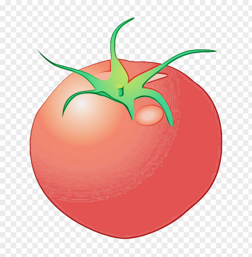 Logo Cherry Tomatoes Apple Background PNG