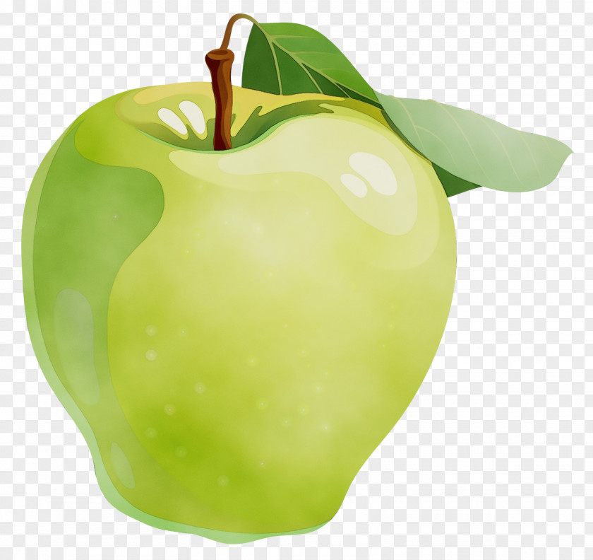 Tree Accessory Fruit Green Granny Smith Natural Foods Food PNG