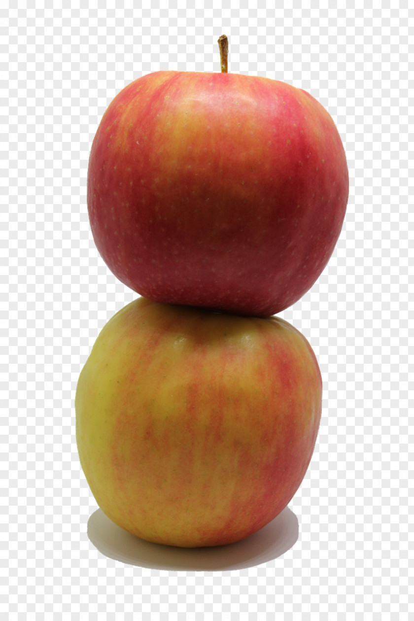 Apple Fruit Food Painting PNG