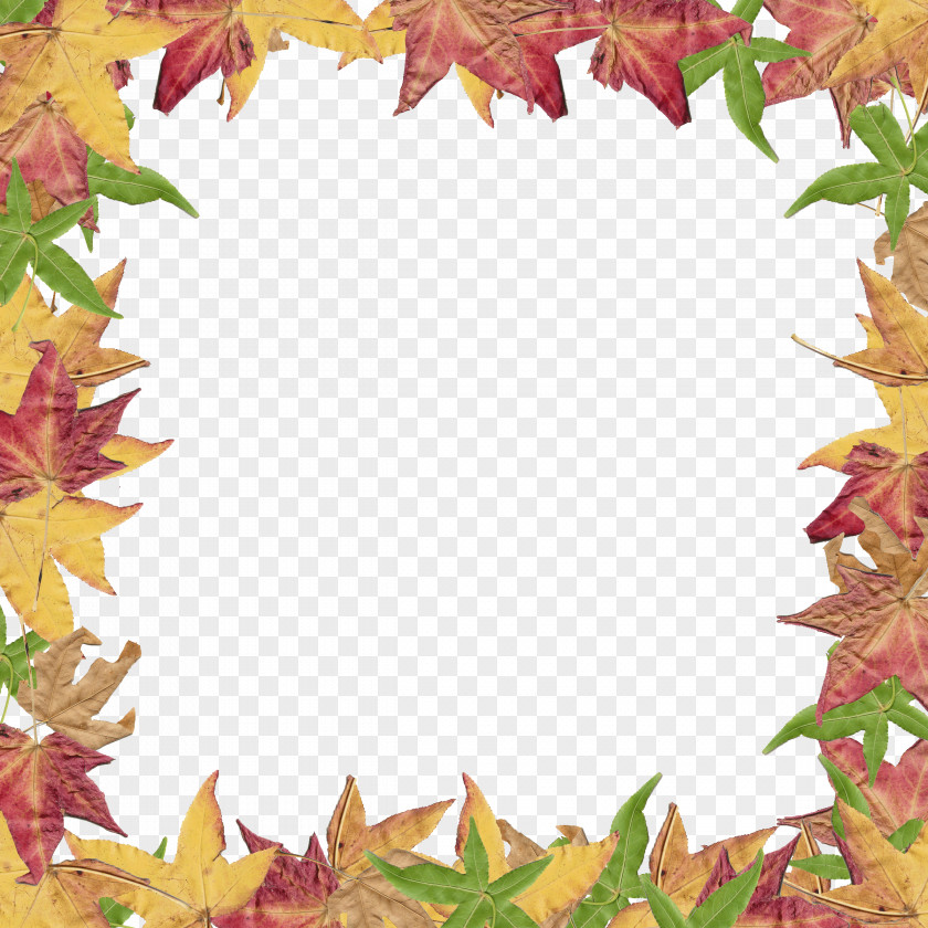 Border Leaves Cliparts Autumn Leaf Color Clip Art PNG