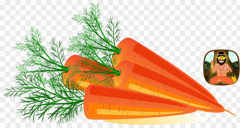 Carrot Transparent Clip Art Image Vector Graphics Illustration PNG