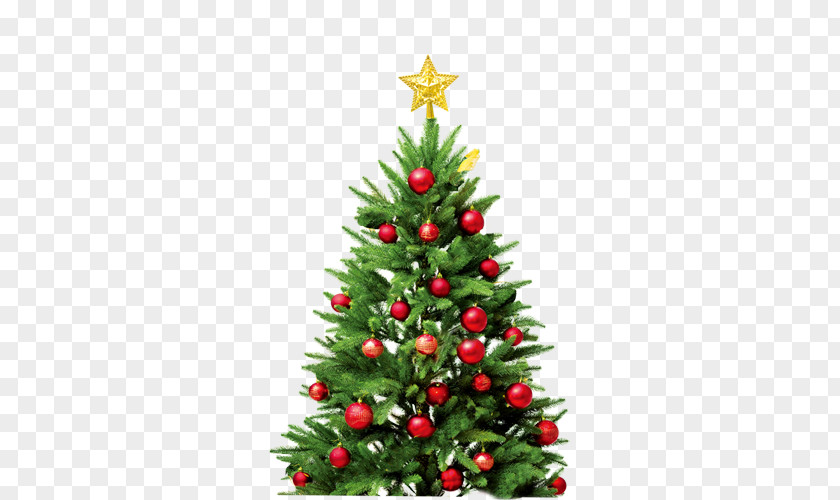 Christmas Tree New Year Bolas Ornament PNG