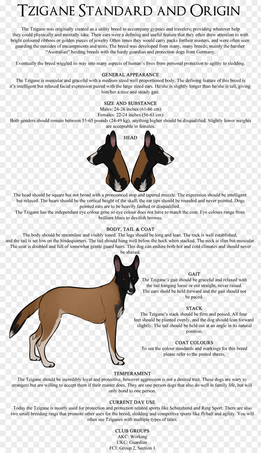 Dog Breed Handout Presentation Font PNG