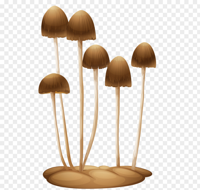 Mushroom Stock Photography Fungus PNG